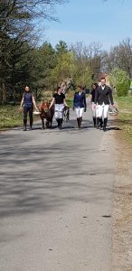 Read more about the article Wielkanoc w stajni