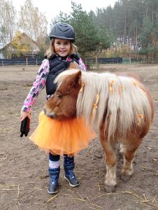 Read more about the article Dzień z dynią