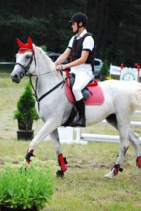 Read more about the article Zawody